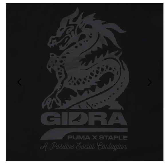 STAPLE x Puma “Gidra” Anorak Size Large - Picture 4 of 4